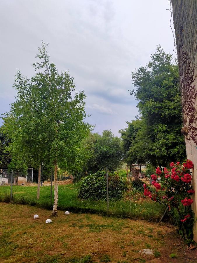 Albergue Casa Baztan Утерга Экстерьер фото